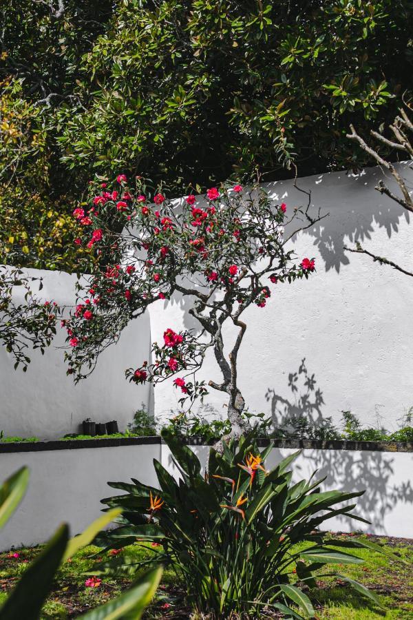 Apartamento Quinta Dos Misterios- Turismo De Habitacao Fajã de Santo Amaro Exterior foto